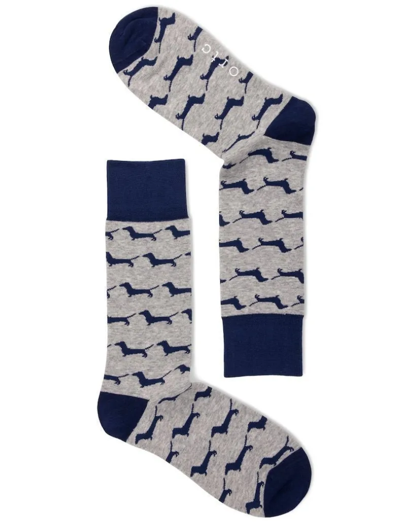 Blue Stripe Dachies Socks