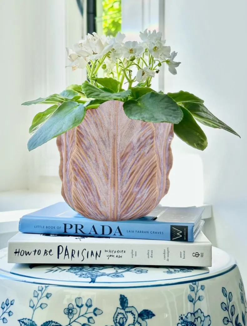 Cabbage Leaf Pot Pink Large