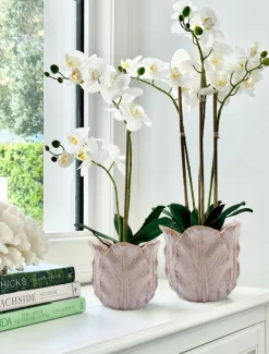 Cabbage Leaf Pot Pink Large