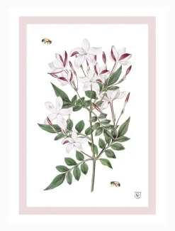 CC Botanical Tea Towel Jasmine