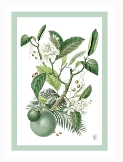 CC Botanical Tea Towel Limes