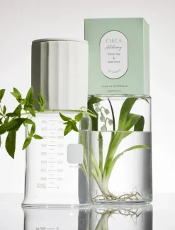 CIRCA Kitchen Alchemy Candle White Tea and Wild Mint 350g
