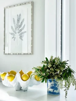 Clam Shell Décor 40cm