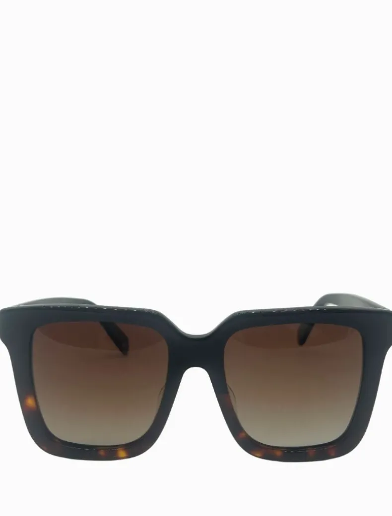 Coco Sunglasses Black Tortoise