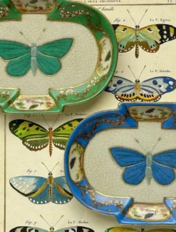 Entomologie Dish Petit Sapphire