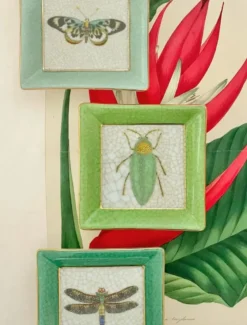 Exotico Wall Plate Buprestis