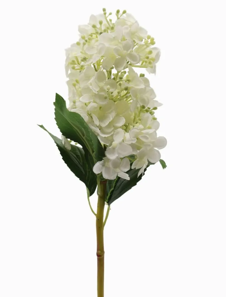 Hydrangea Cone 50cm Ivory