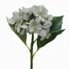 Hydrangea Stem 50cm Blue Green