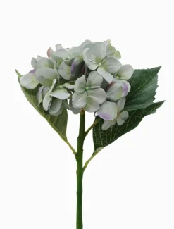 Hydrangea Stem 50cm Blue Green