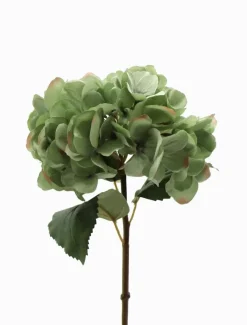 Hydrangea Stem 52cm Blue Green