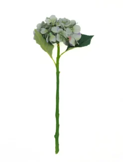 Hydrangea Stem 50cm Blue Green