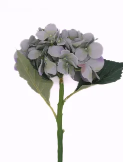 Hydrangea Stem 50cm Blue Green