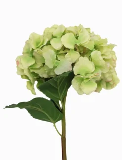 Hydrangea Stem 52cm Green