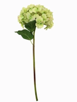 Hydrangea Stem 52cm Green