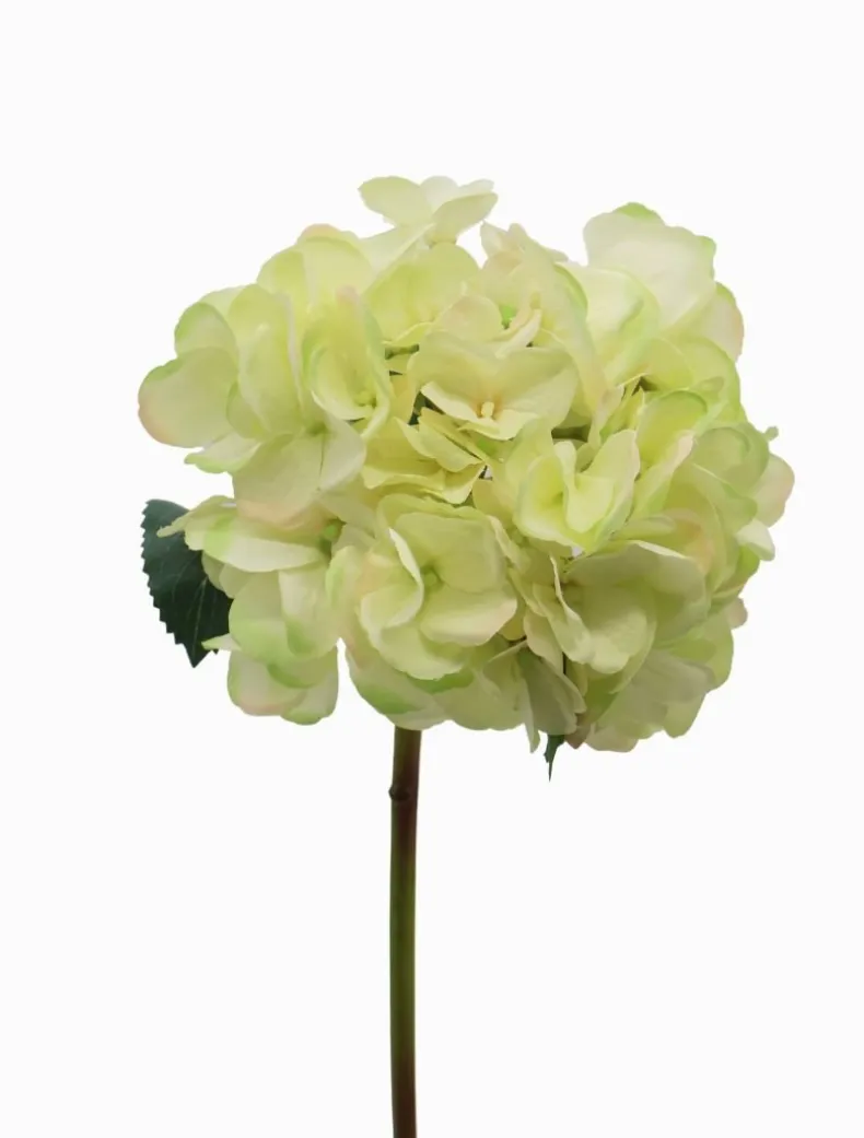 Hydrangea Stem 52cm Light Green