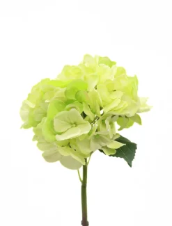 Hydrangea Stem 52cm Light Green