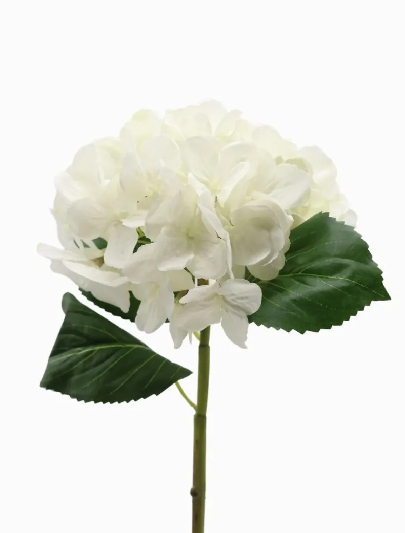Hydrangea Stem 52cm White