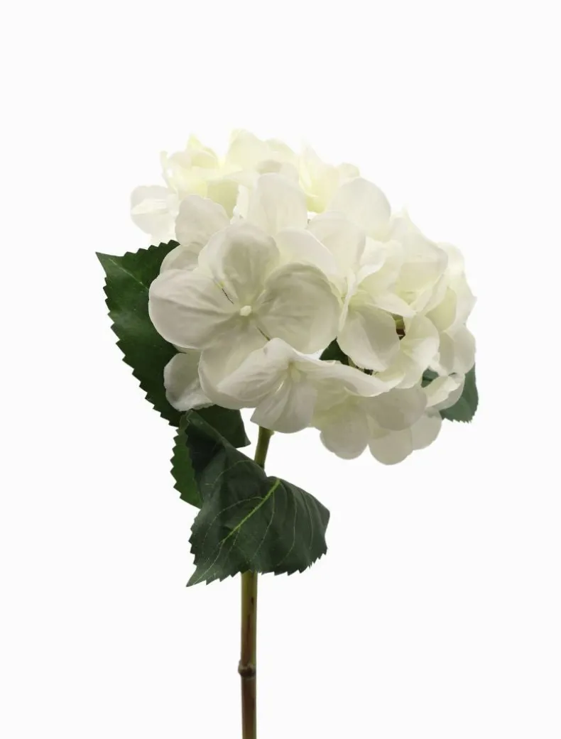 Hydrangea Stem 52cm White