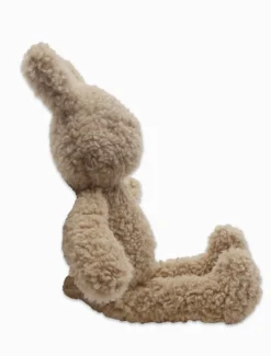 Little Bunny