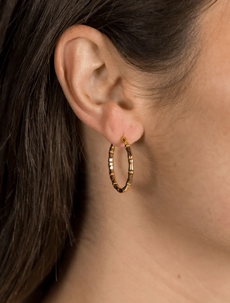 Lucienne Bamboo Hoops Gold