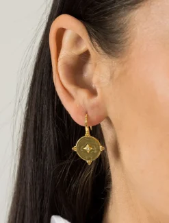 Lucienne Gold and Crystal Hooks