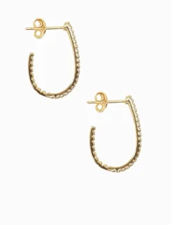 Lucienne Scoop Cubic Zirconia Hoops Gold