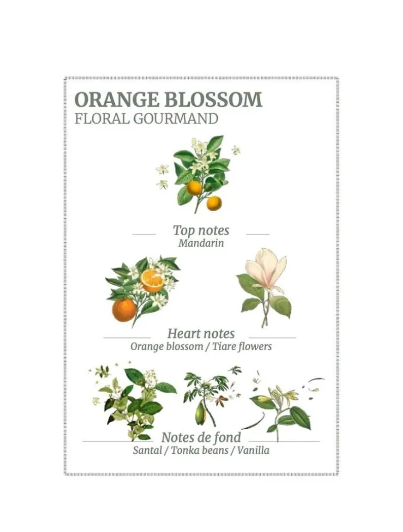 Orange Blossom Hand u0026 Body Wash 500ml