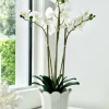Orchid Phalaenopsis (61cm) White