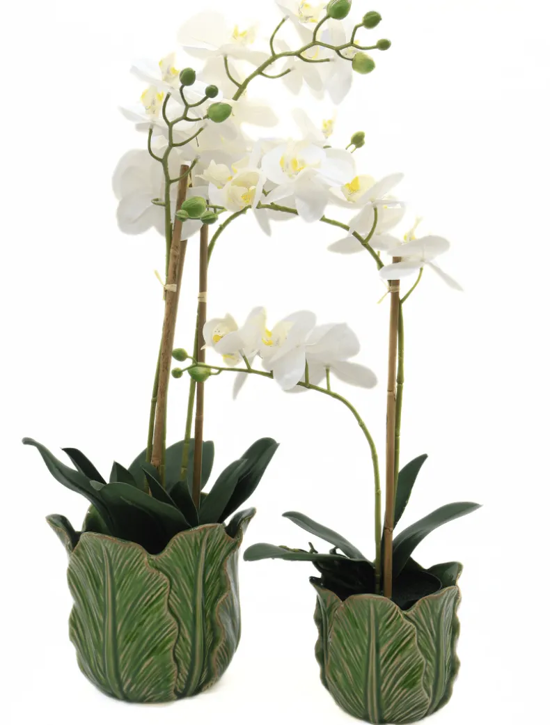 Orchid Phalaenopsis (61cm) White