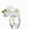 Orchid Phalaenopsis in Vase 11cmh White