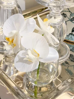 Orchid Phalaenopsis in Vase 11cmh White