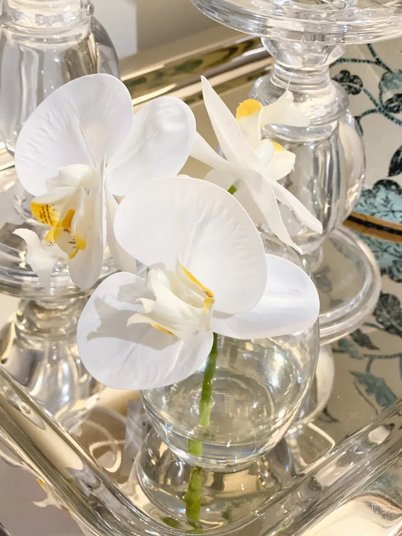 Orchid Phalaenopsis in Vase 11cmh White