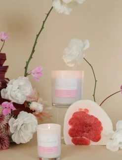 Palm Beach Pomelo and Dewberry Candle 420G