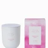 Palm Beach Standard Candle Rebellious Rose