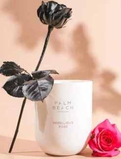 Palm Beach Standard Candle Rebellious Rose