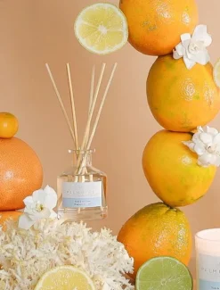 Palm Beach Yuzu and Sea Moss Mini Diffuser 50ML