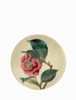 Paradiso Wall Plate Camellia Bone