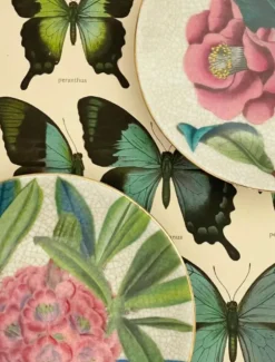 Paradiso Wall Plate Camellia Bone
