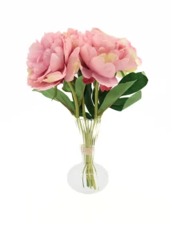 Peony Bouquet Pink