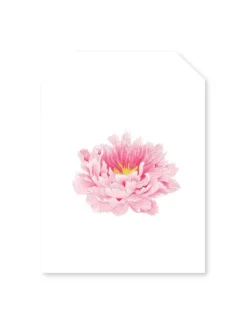 Pink Peony Tag