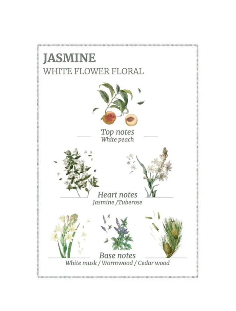 Precious Jasmine Hand u0026 Body Wash 500ml
