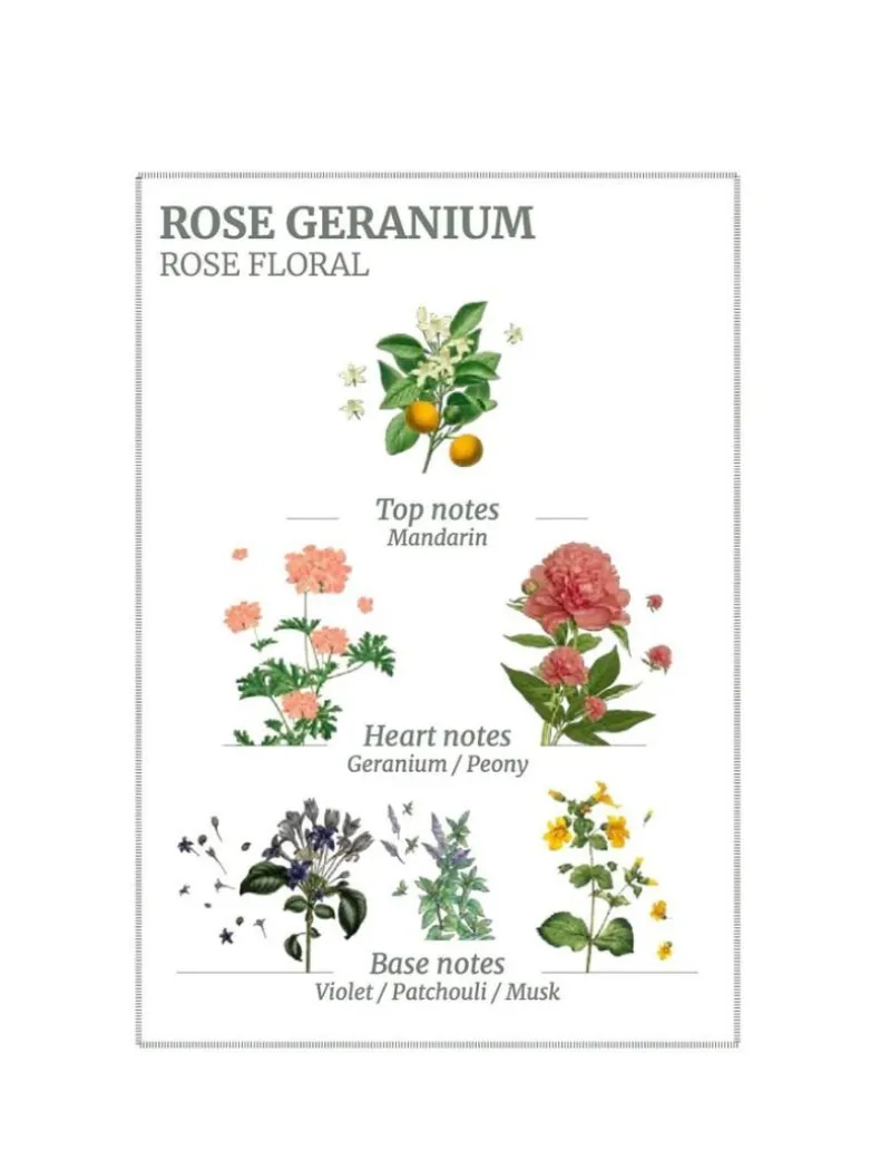 Rose Geranium Body Lotion 250ml - FINAL SALE