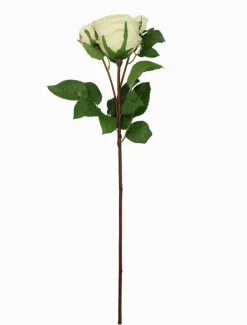 Rose Stem 58cm Ivory