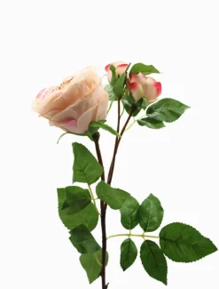 Rose Stem 58cm Pink