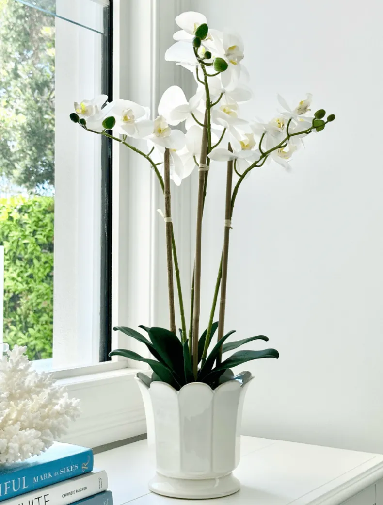 Scalloped Pot White Large