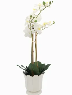 Scalloped Pot White Large