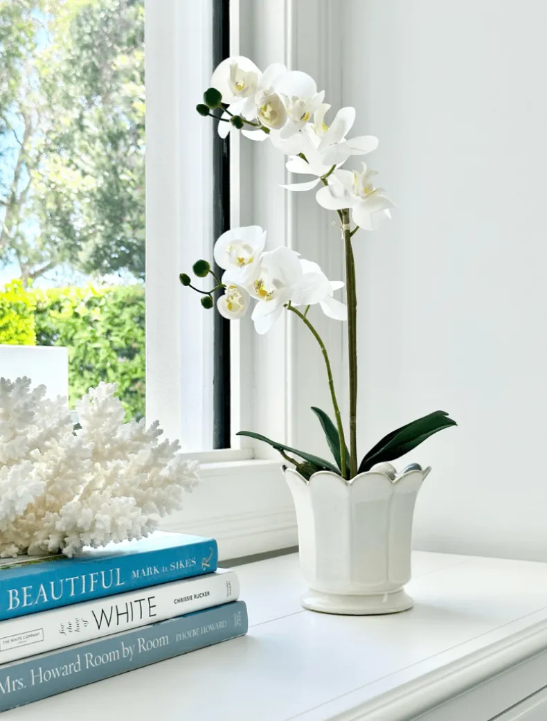 Scalloped Pot White Small
