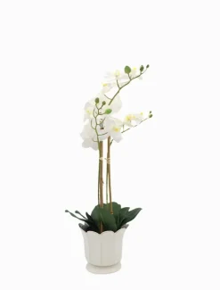 Scalloped Pot White Small