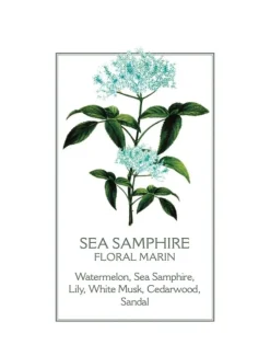 Sea Samphire Hand u0026 Body Wash 500ml