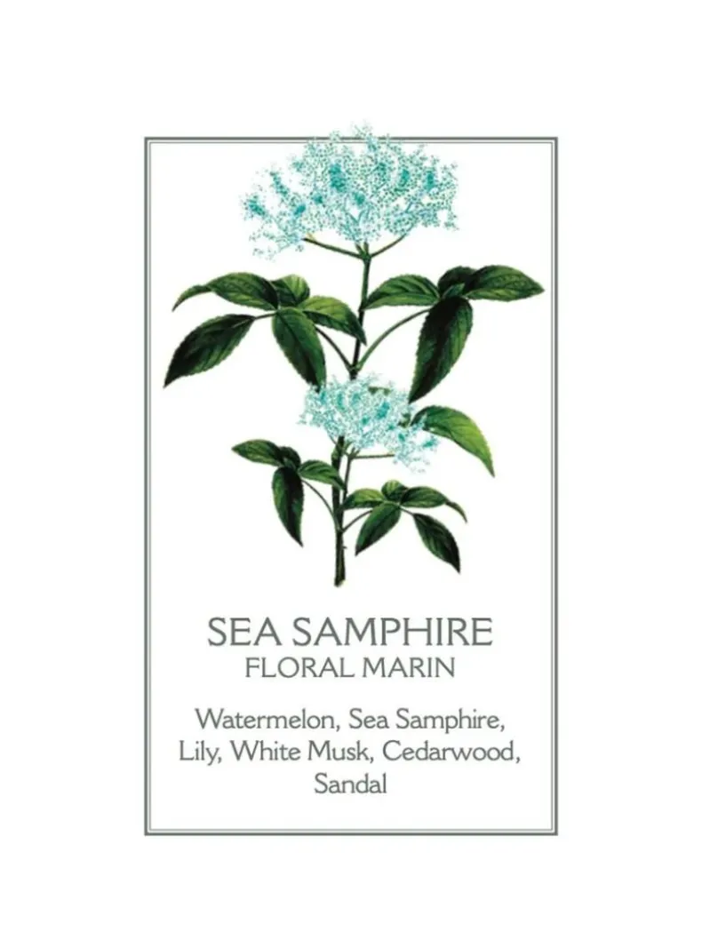 Sea Samphire Hand u0026 Body Wash 500ml